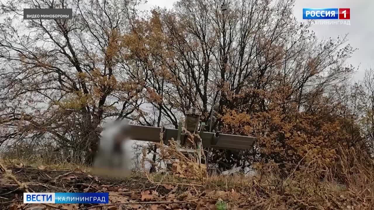 Подразделения одиннадцатого армейского корпуса, который базируется в Калининградской области, выполняют задачи на Харьковском направлении