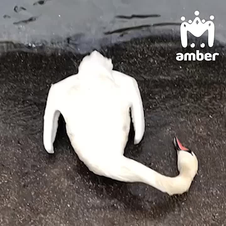 ������ ������� ������� � ���������, �� ������ ������ ������� �� ������