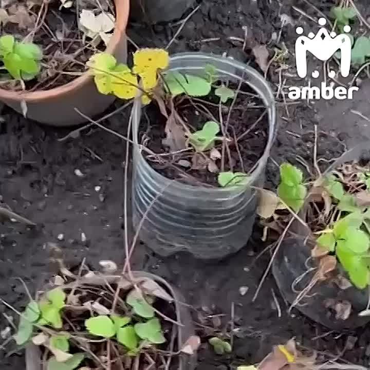 � ���� � �������������� ������� ��������