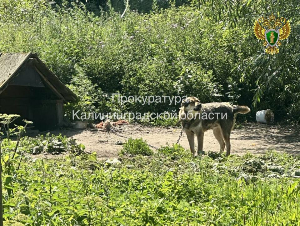 �� ���� ����������� � ������ ����������� �������� ����������� ���������� �����, ������������ � ���������� ��������� ������