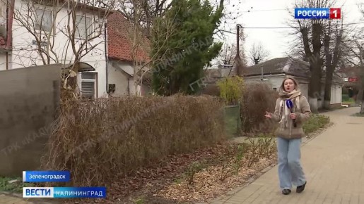 � ������������ ������ ������������� ������ ��������� ��� ������� � �������������� �������������� �� ������ ������ ����