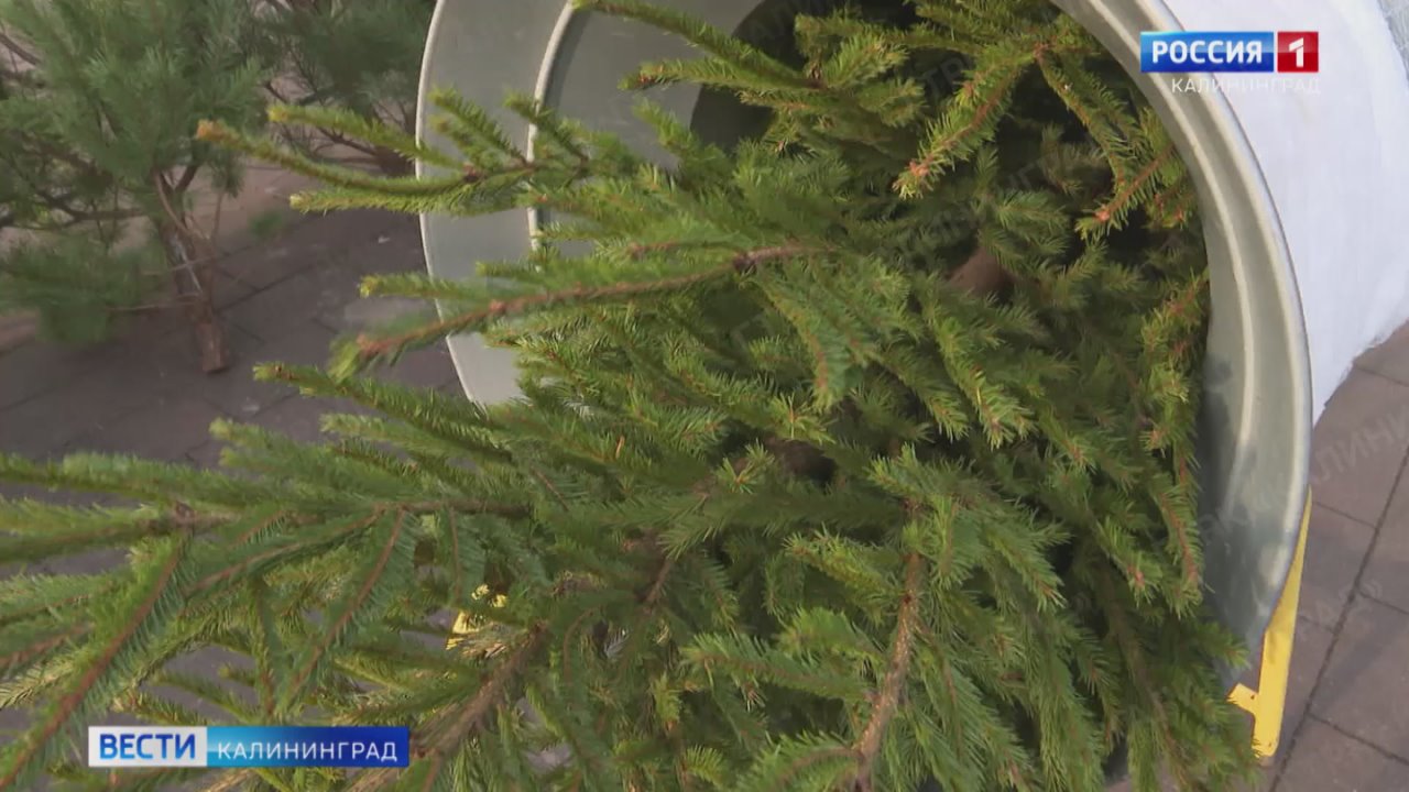 В ожидании Нового года Калининград украшается самыми яркими красками