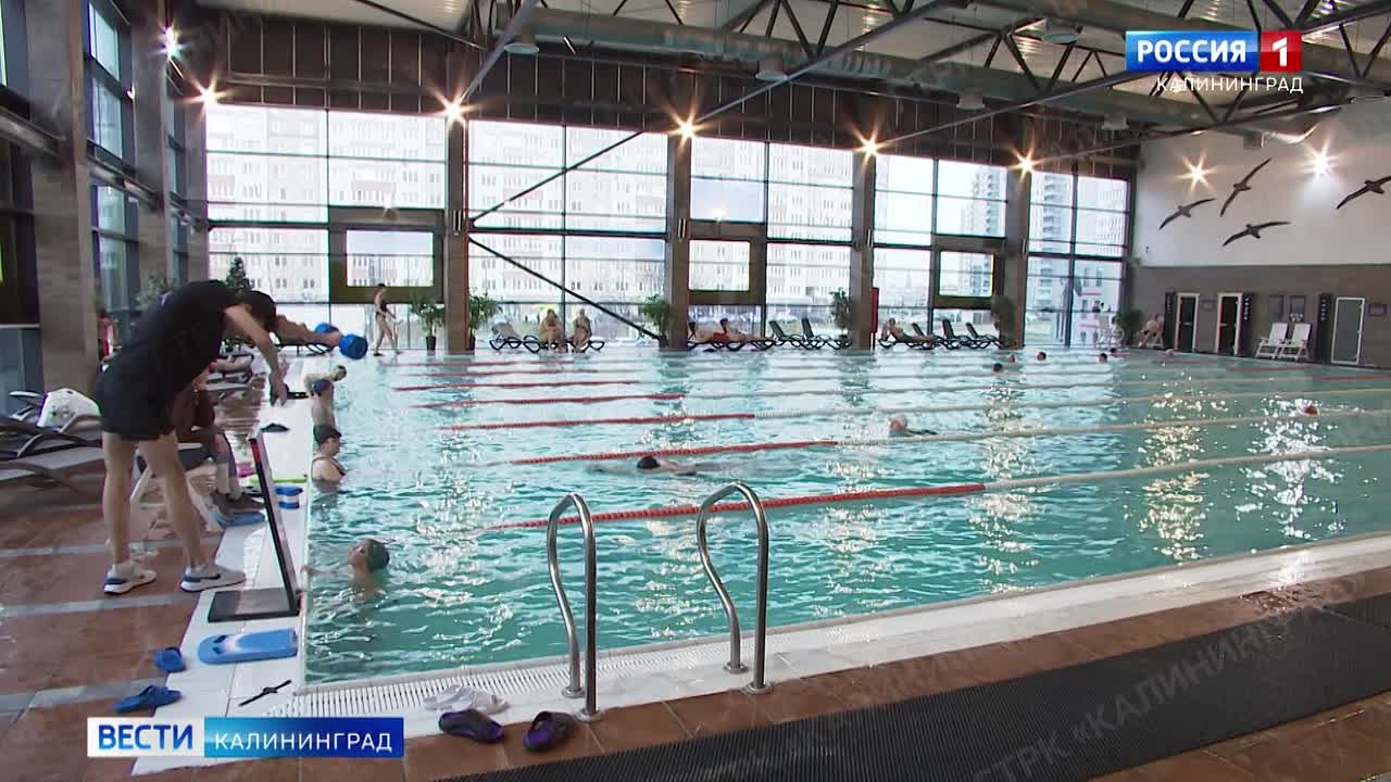 Канун Нового года — это время подарков и сюрпризов