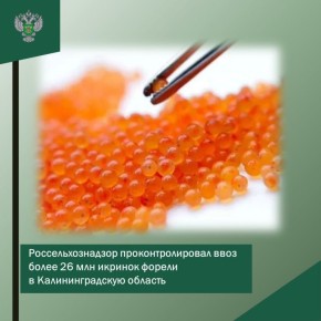 � ��������������� ������� ���������������� ���������������� ���� ����� 26 ��� ���� ��������������� ���� ������