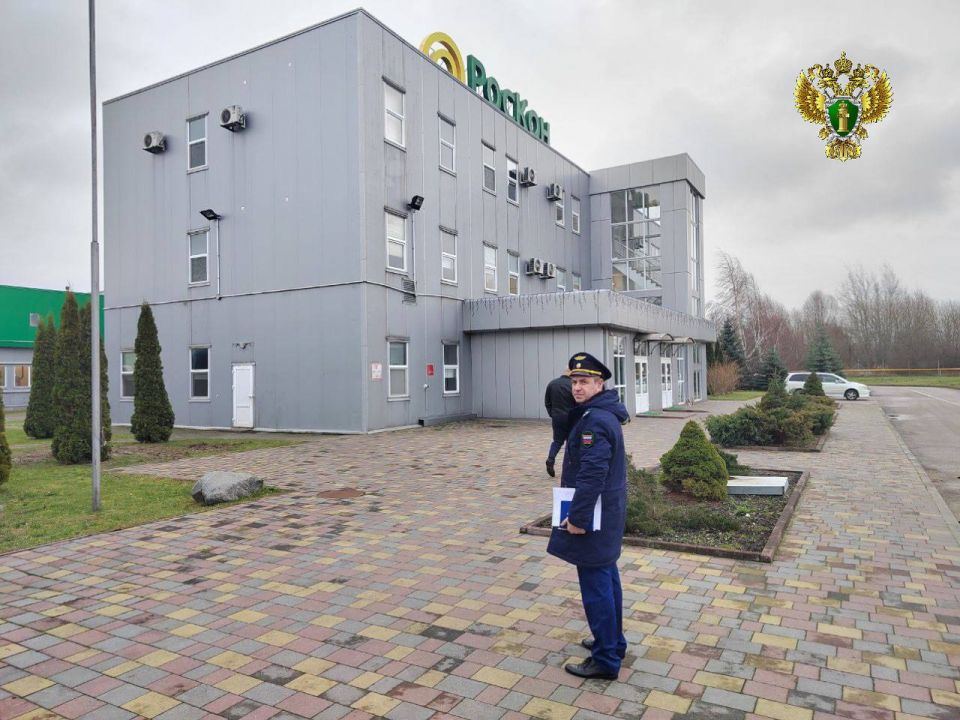 ������������� ����������� �������� ������ ������� � �������������� �������