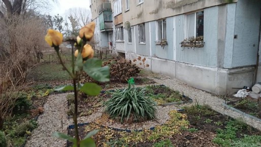 � ������������ � �������� ������� ������������ ����