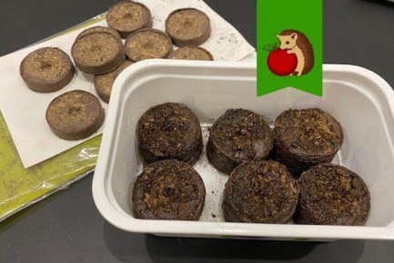 5 �������� ��������� ������������� �������� �������� ��� ������� �������