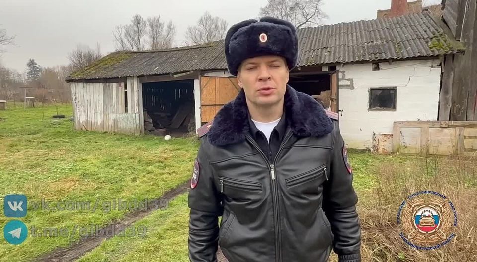 �� ��������������� ������, 17.12.2025 ���� ����� 12:30 � ������� ������������ ������������ ������ �� ����� �������, �. 8 �������� 1960 ���� ��������, �������� ����������� �������������, ��� �������� ������ ����� ��������...