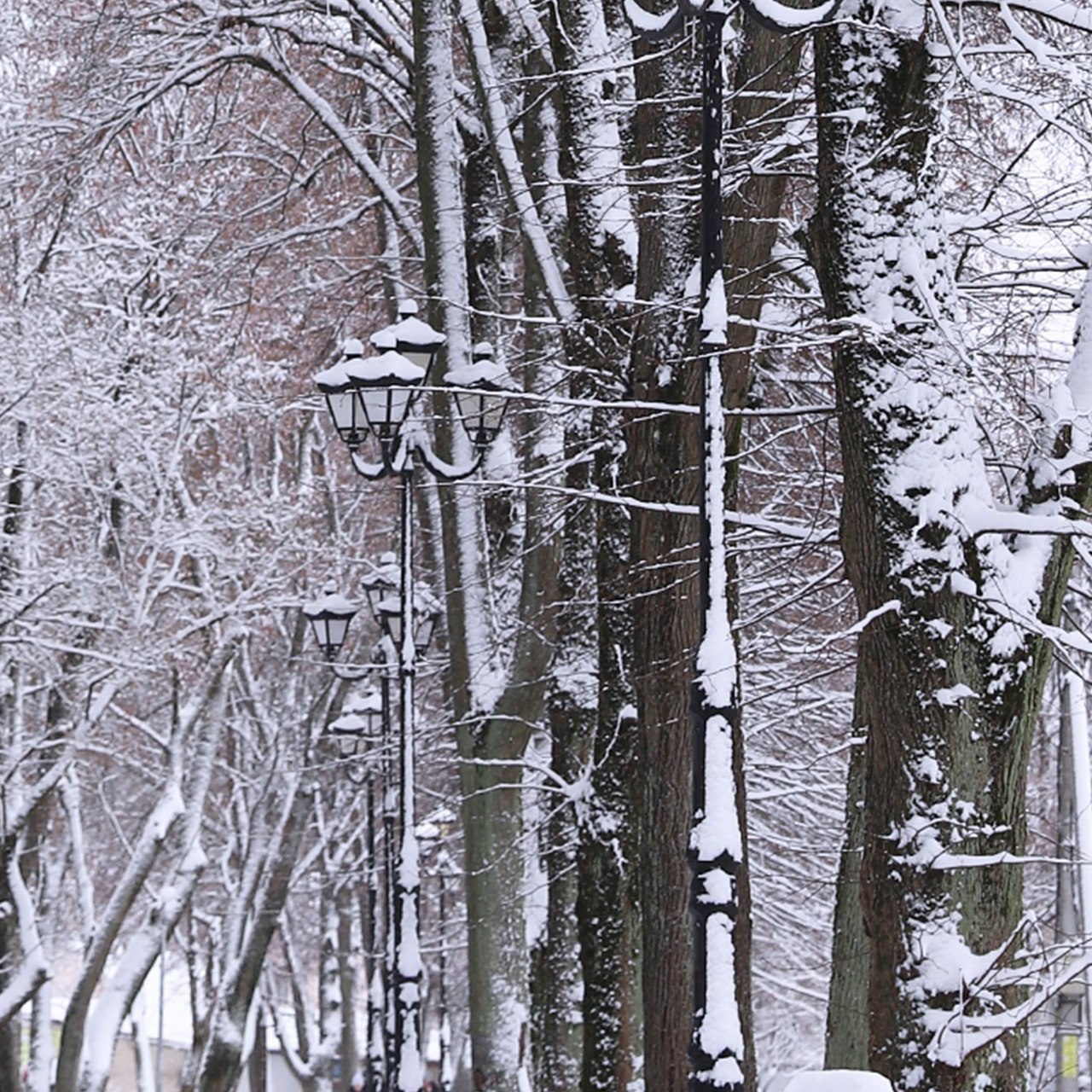 Музей истории города Советска приглашает на открытие межмуниципальной выставки авторских работ «Зимнее волшебство»