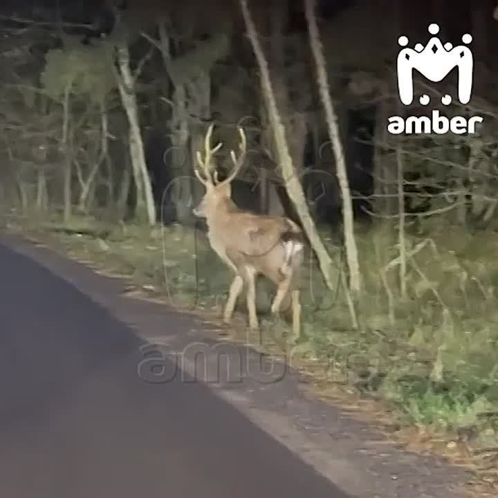 ����������� �� ���� ���� ������� ������� ������!