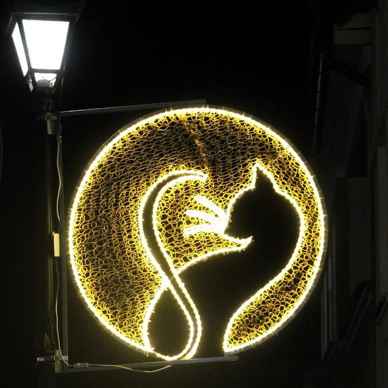 В Гвардейске на главных площадках города появились новые украшения В Гвардейске на главных площадках города появились новые украшения