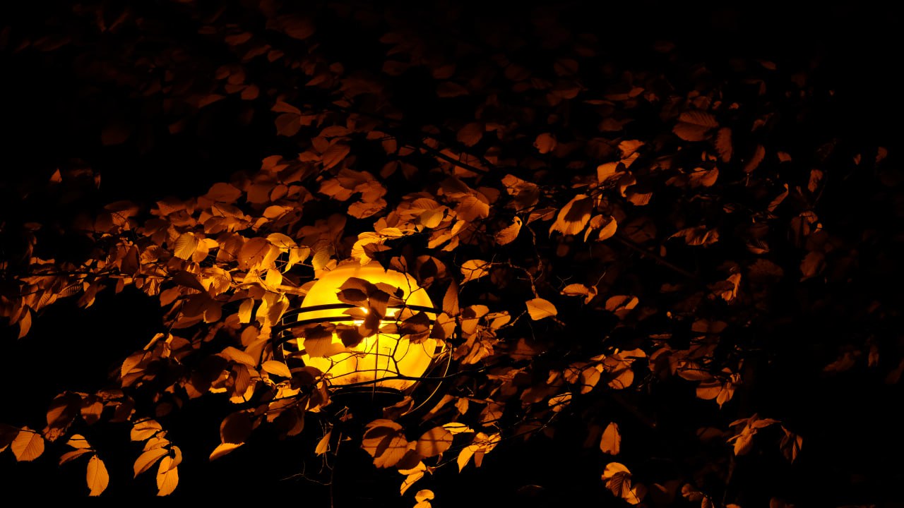 Более полумиллиона рублей выделяют на проект подсветки улицы А. Невского