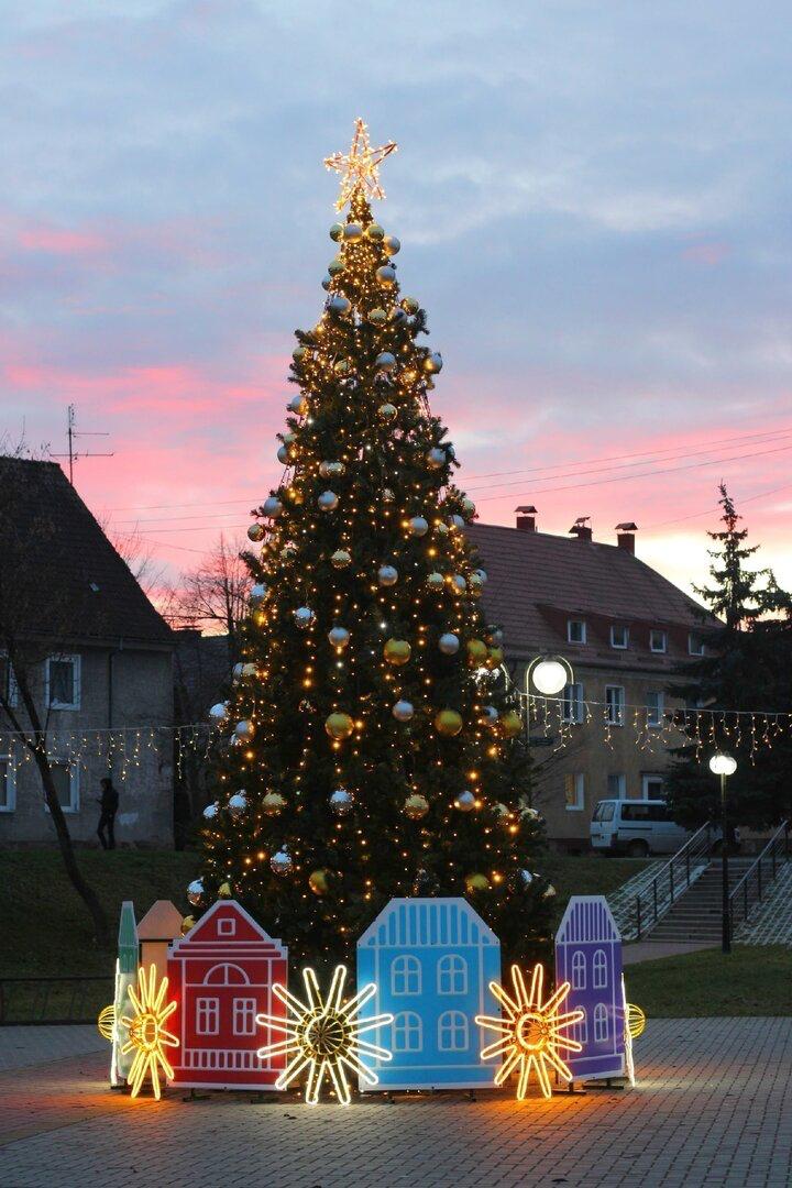 На главной площади Гвардейска установили сразу две ёлки На главной площади Гвардейска установили сразу две ёлки