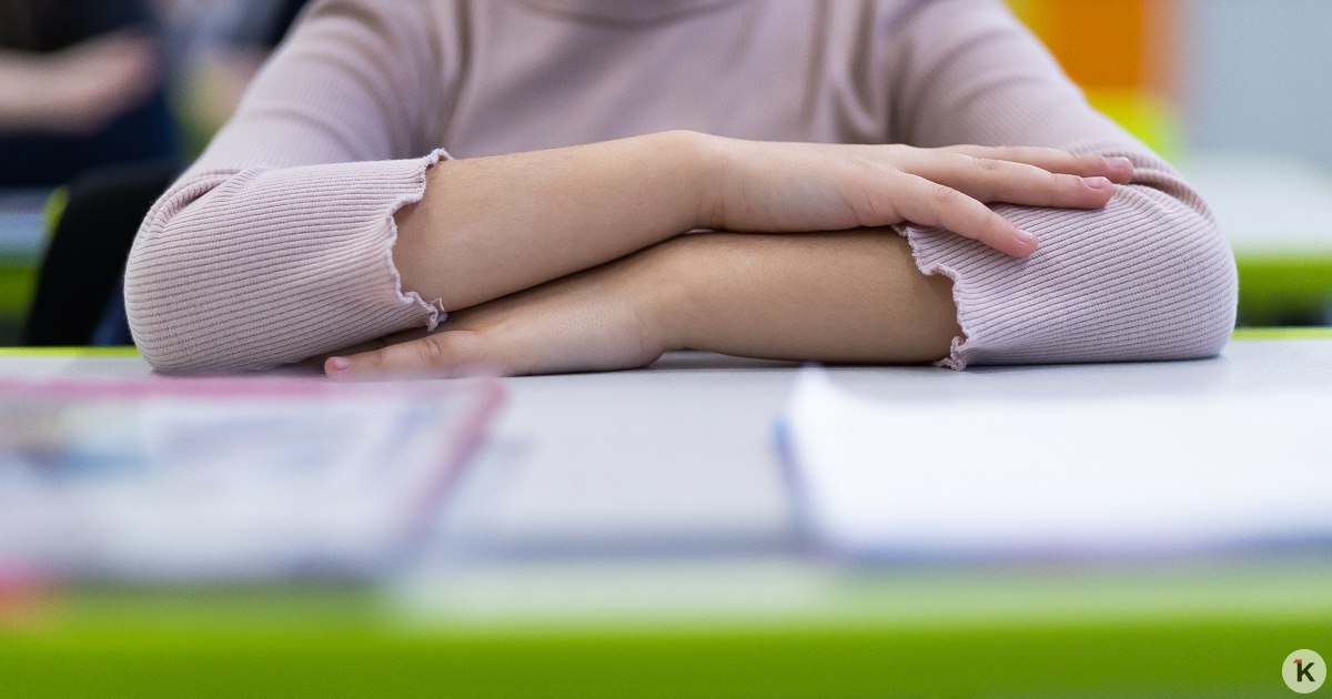 Депутат попросил министра просвещения сделать обязательной должность штатного психолога в школах