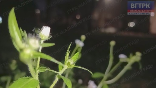 ����. �������. � ������ �� ����� ��������� � �����