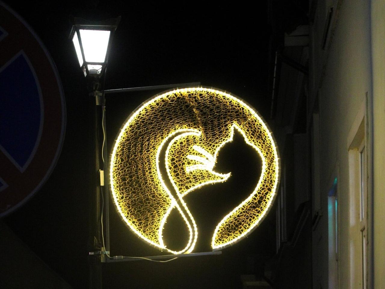 На главной площади Гвардейска установили сразу две ёлки На главной площади Гвардейска установили сразу две ёлки