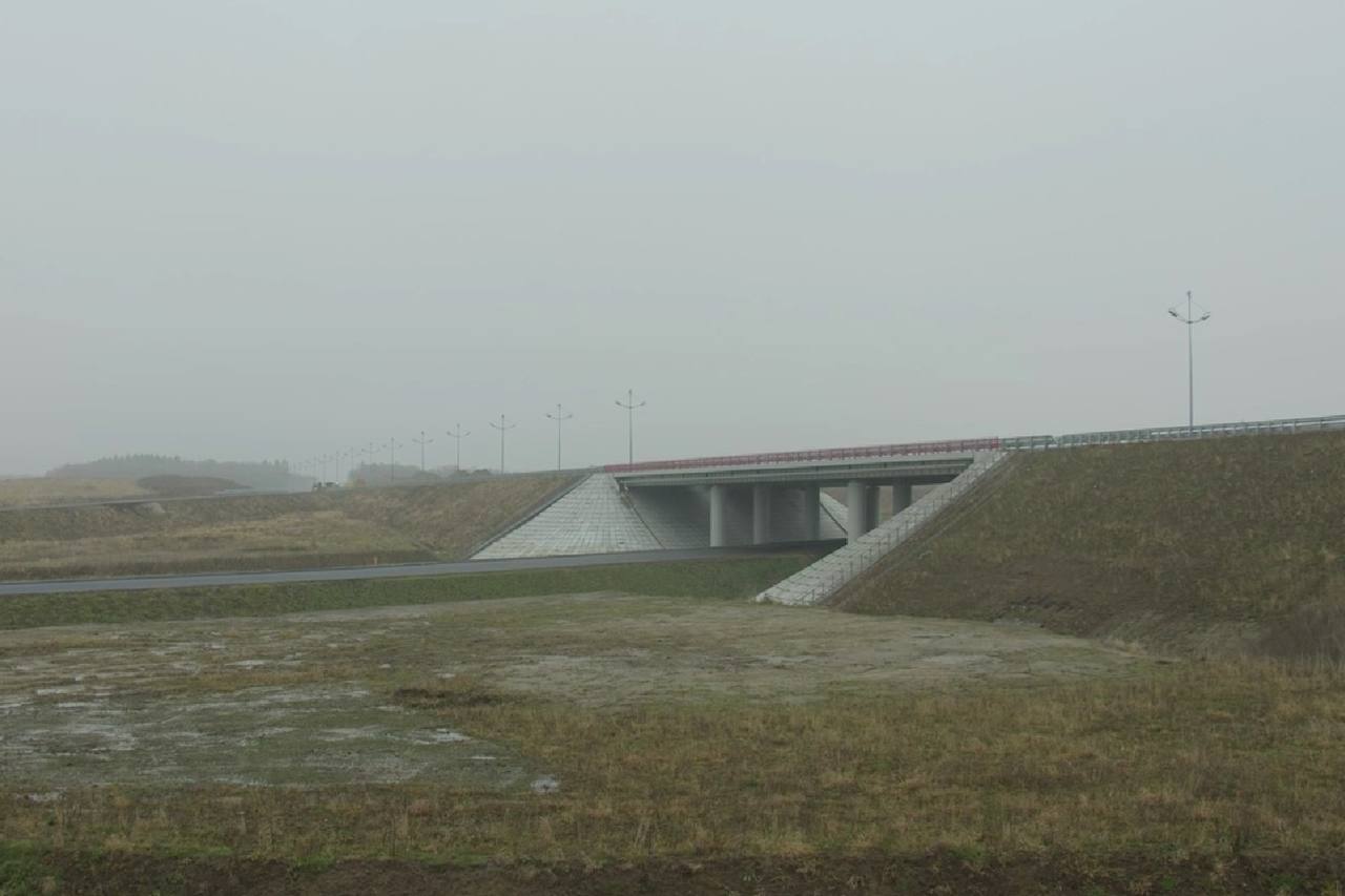 «ВАД» оценил готовность нового участка Приморского кольца в 90%