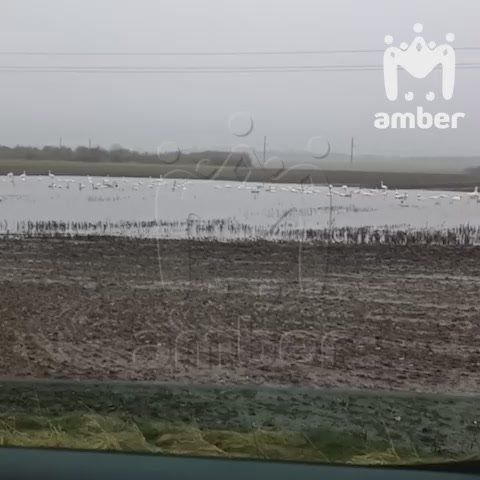 ���� ���������� ����� ������ �������� �������