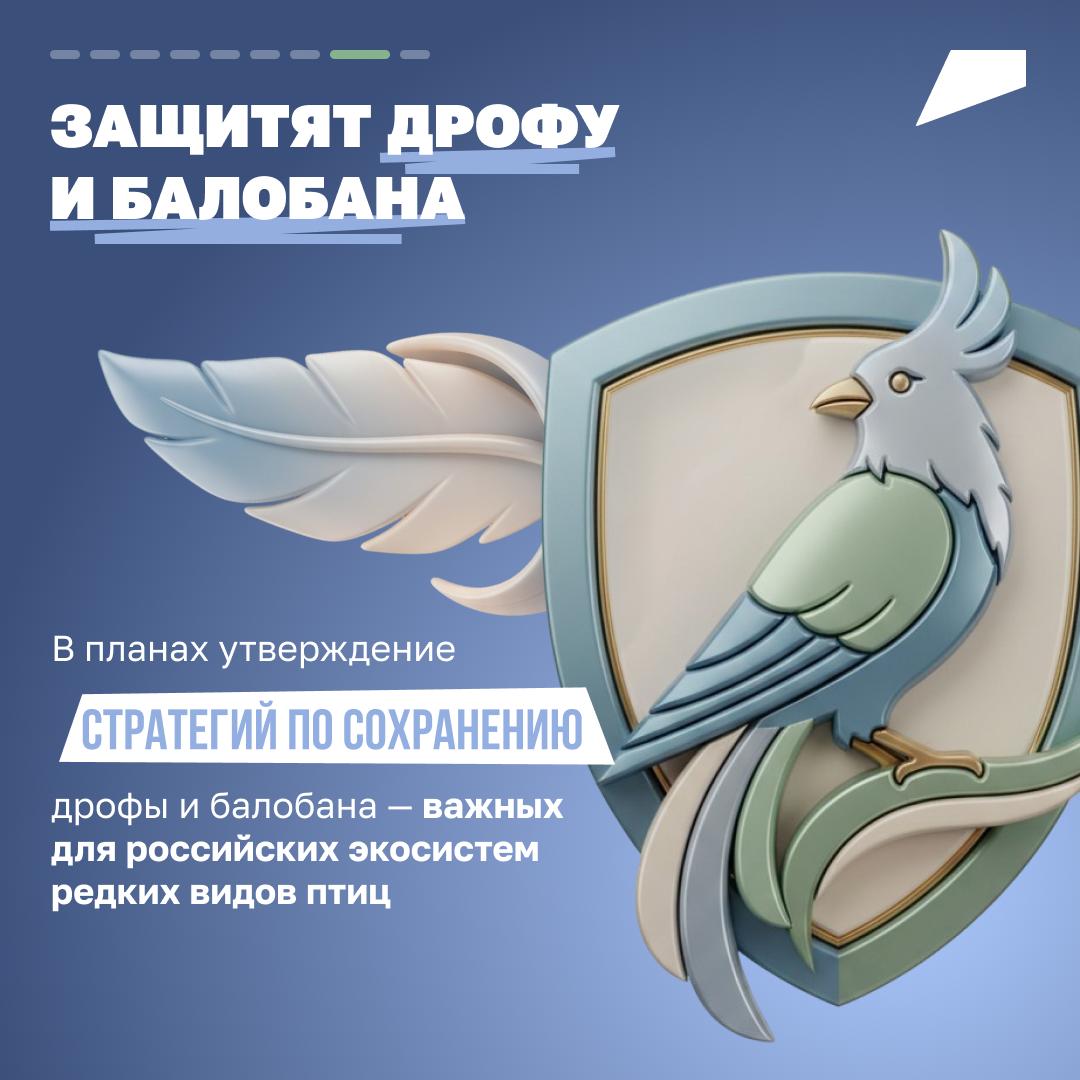 С заботой об экологии. В 2025 году по решению Президента стартовал национальный проект «Экологическое благополучие» С заботой об экологии. В 2025 году по решению Президента стартовал национальный проект «Экологическое благополучие»