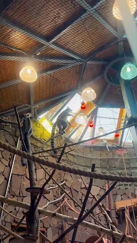 �������, ����� ����� ������ ������� ������? �������� ����� �� ������