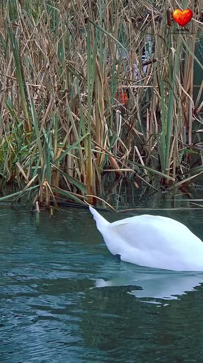 �����������, ����� ���� ���� � ������� � ���� �� ������ �����!