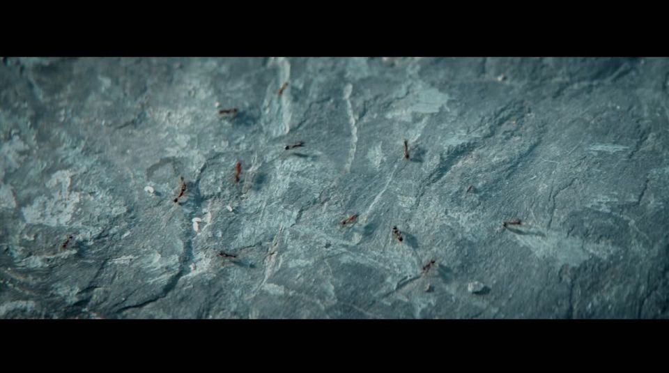 ���������� ����������� ������ � ����� ����� ������������