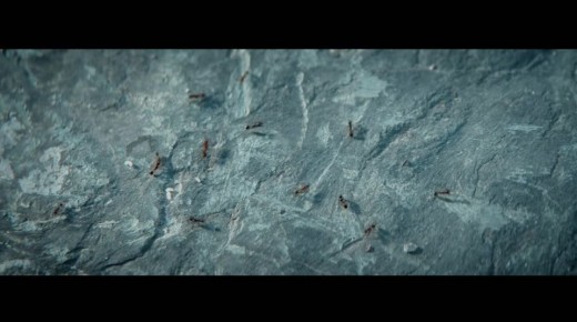 ���������� ����������� ������ � ����� ����� ������������