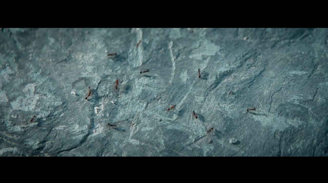 Соблюдение скоростного режима — залог вашей безопасности