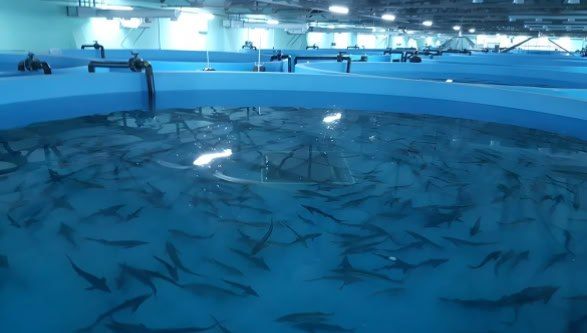 1 ����� ����������� ���� � ������������ ����� � ��� ����