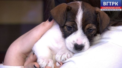 �������� ���� ���� ����� ���������� � ������� ������� ����� � 2025 ����