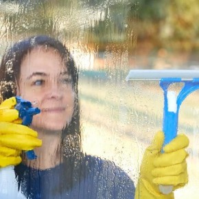 ����������� ������������ �������� �������� � ������: ������ ������� � ��������