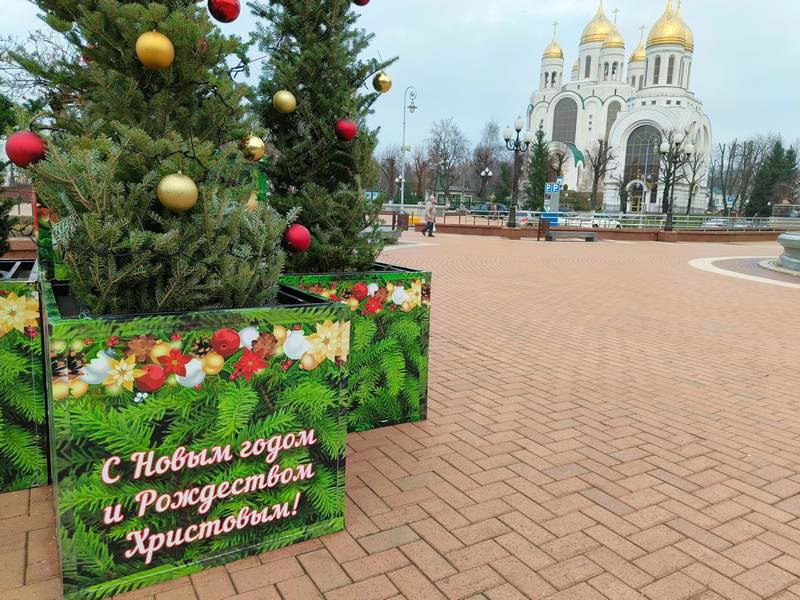 Женщины России предвкушают новогодний отдых именно в Калининграде