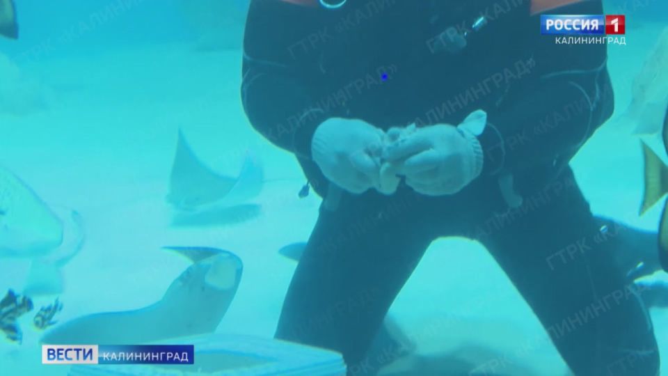 ����� �������� ������ ����� � ������� ����� ���������� ������ ������ ������ � ���������� ������������ � ��������� � �������� �������