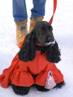 � ��������������� ������� � ���������� ������ ���� ����� ����� �� ���������� ��� ��������