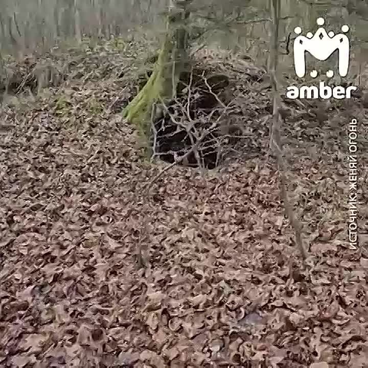 ����������� ��������������� �������, ��������� �������� � ��������� �������� ���� � ��� ����� ������ ������ � ���� ������ �������