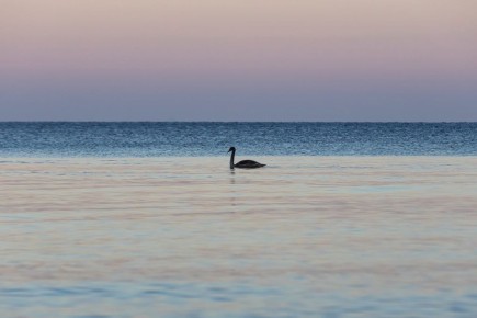 ���� ������� ������������� � ��, ������� ����� ����� ����� ������ �������������