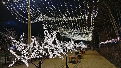 � ������������� ��������� ��� ���� ���� ����������� ����������