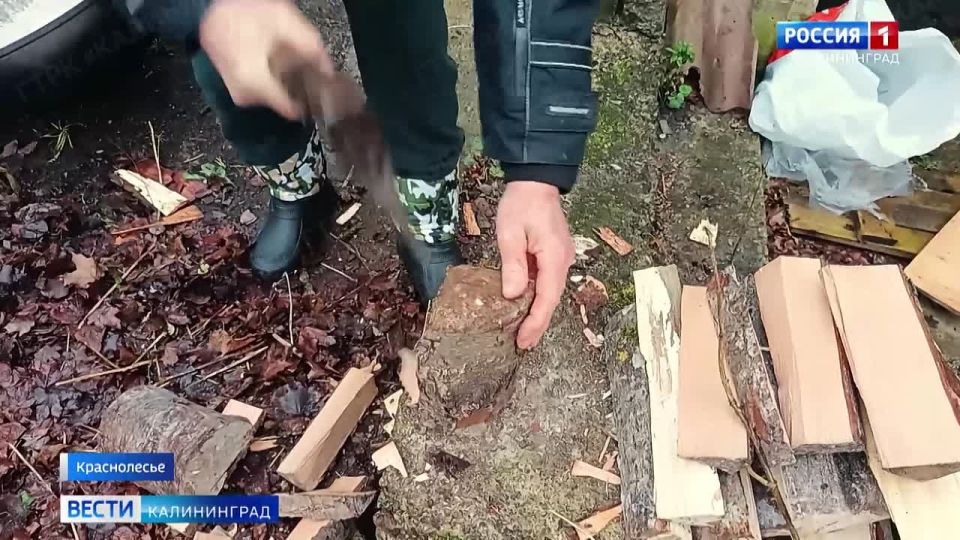 ����� ����� �������, ��� � �������