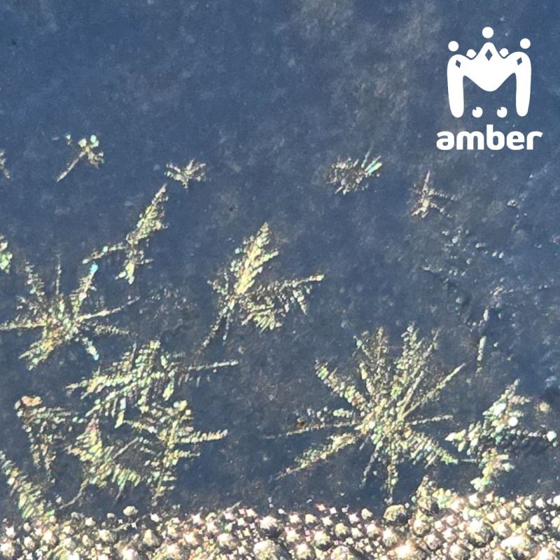 ��� ����� ����� ��������� �� ����� �� ����