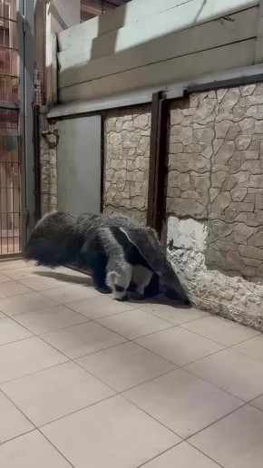 ������� ��������� � �������� ������������ ������� ���!