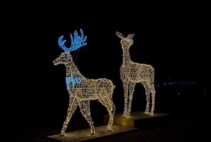 �������������� ����� ��������� � ����� �������������