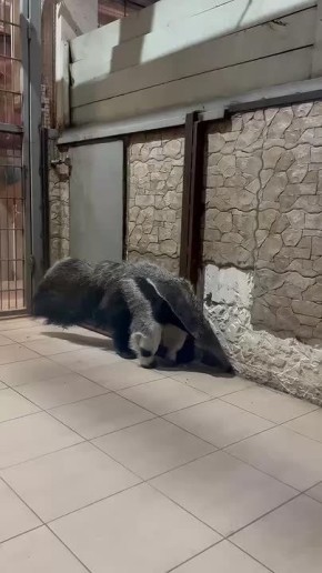 � ������� ��������� �� ���������������� �������� ��������� ���