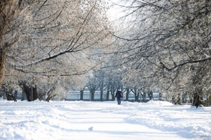 ������ � ���������� ��-���� ������ ������ ����