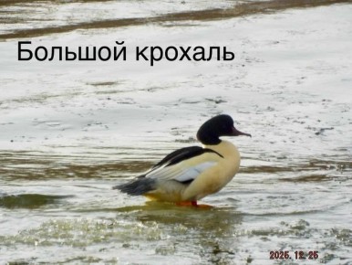 �� �������� ���� ��������� ��������� ����� �� ������