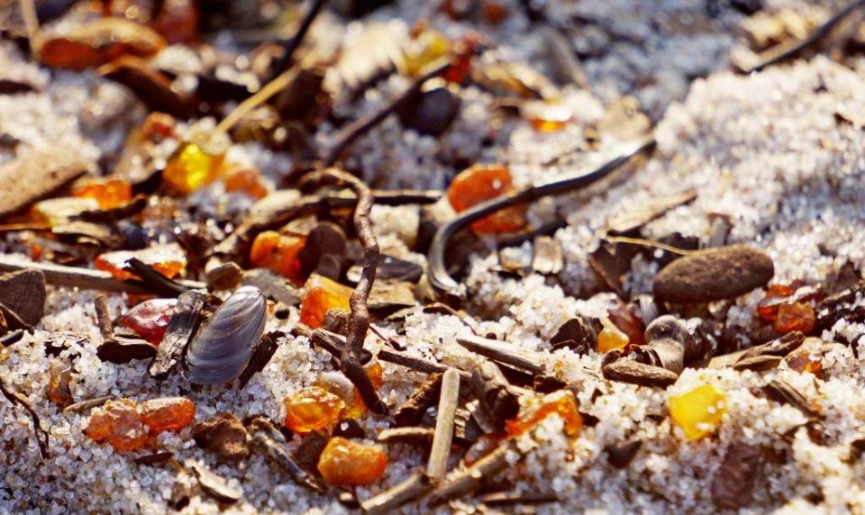 ����� ������ �������� ����� ��������������� ������� ������