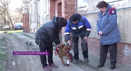 ����� �� ����� ����: � ����������� ����� �������� �����, �������� ���-�� ������� ����� ��� ����