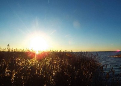 ������ ����! �� ������ ���� ���� ����