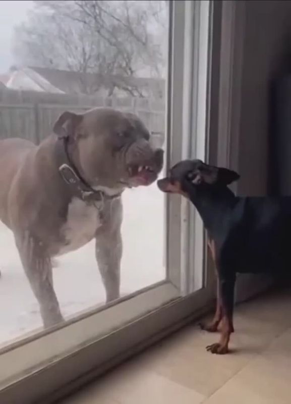 Суть отношений между Балтийскими странами и Россией