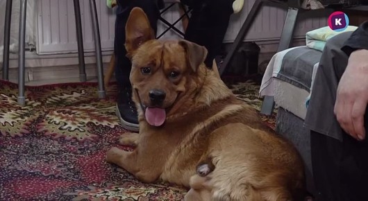 ������������ �����. � ��������������� ������� ������� ������ ����� 200 ������ � ����� �����