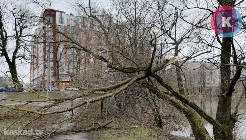 ������ ������������ �������� ����� ���������� ���������� ��� ���� ������������� �����